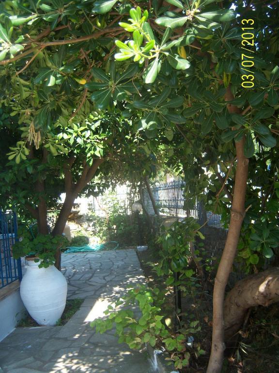 סקופלוס טאון Smile Stella Studios חדר תמונה